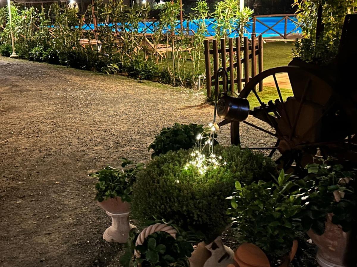 Fattoria Palazzeta - Pet & Family Friendly Aparthotel Cecina  Exterior foto