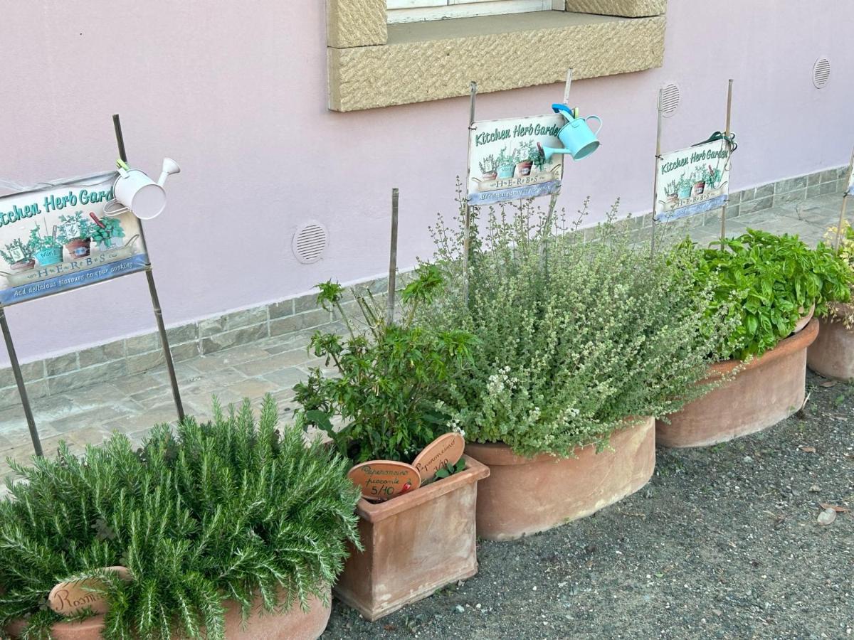 Fattoria Palazzeta - Pet & Family Friendly Aparthotel Cecina  Exterior foto